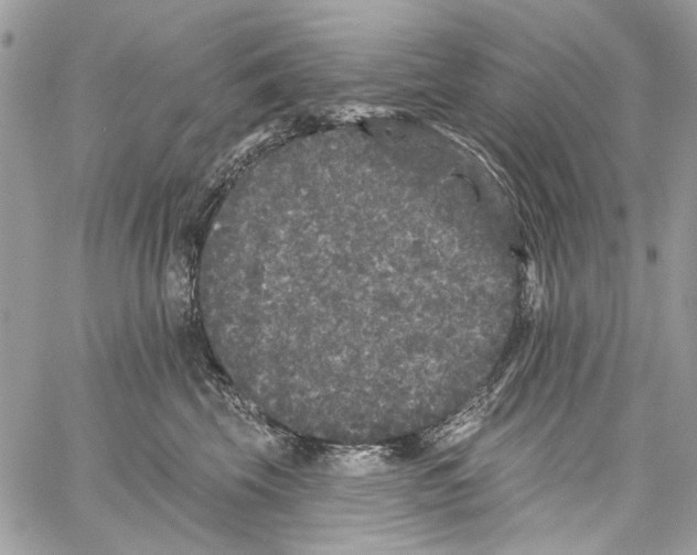 X0000061730569200512302149