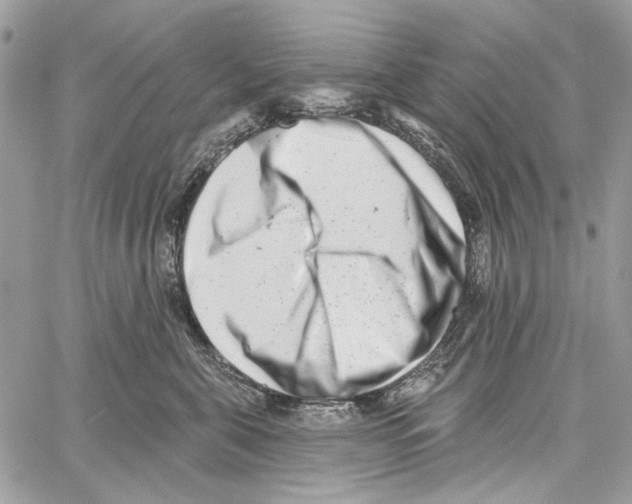 X0000061730571200512302149