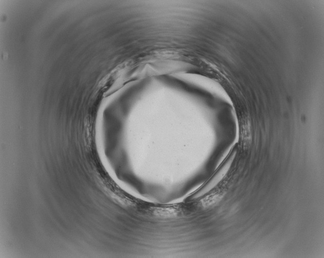 X0000061730572200512302149