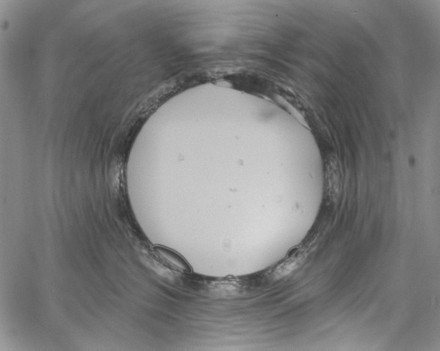 X0000061730574200512302149