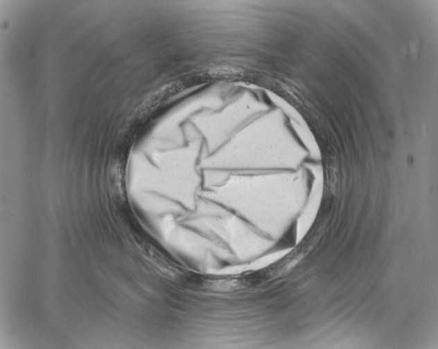 X0000061730575200512302149