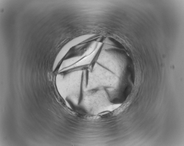 X0000061730576200512302149