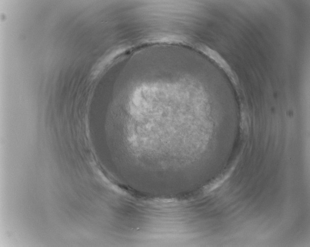 X0000061730577200512302148