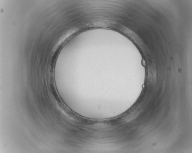 X0000061730578200512302148