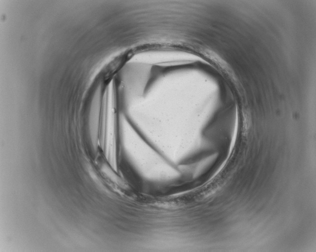 X0000061730580200512302148