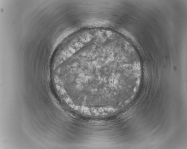 X0000061730582200512302148