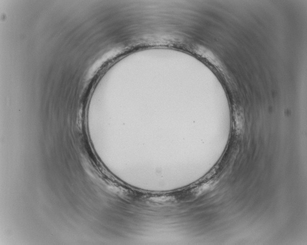 X0000061730583200512302148