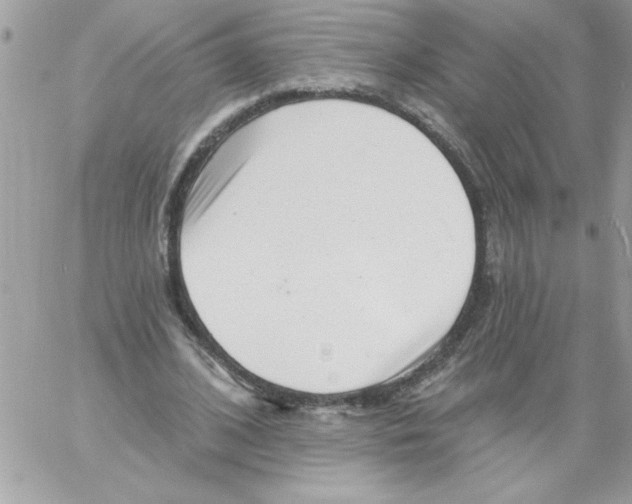 X0000061730584200512302148