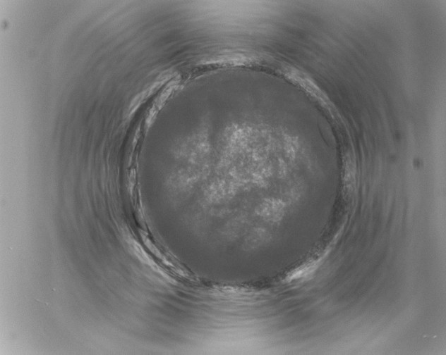 X0000061730585200512302148