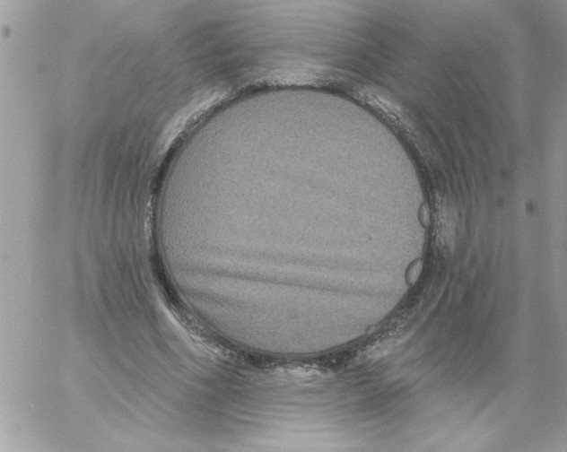 X0000061730586200512302148