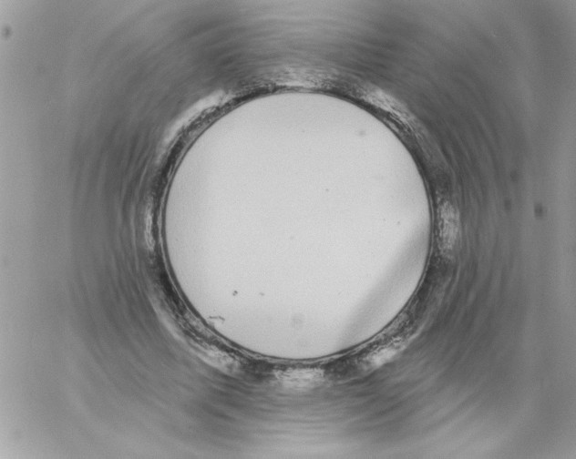 X0000061730587200512302148