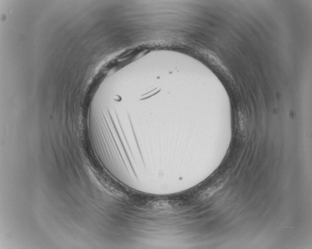 X0000061730588200512302148