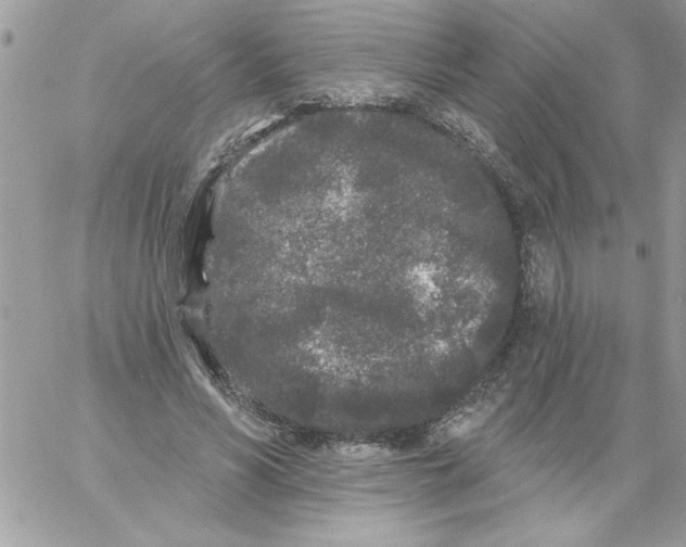 X0000061730590200512302148