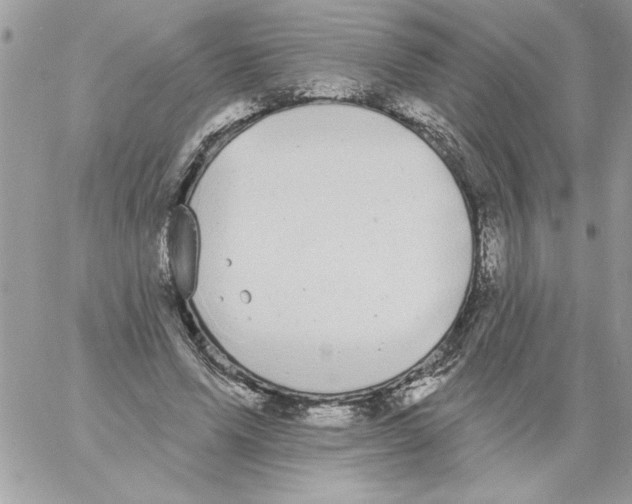 X0000061730591200512302148