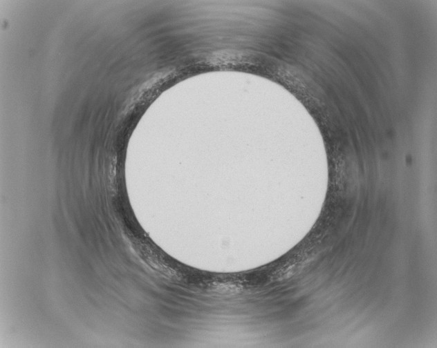 X0000061730592200512302148