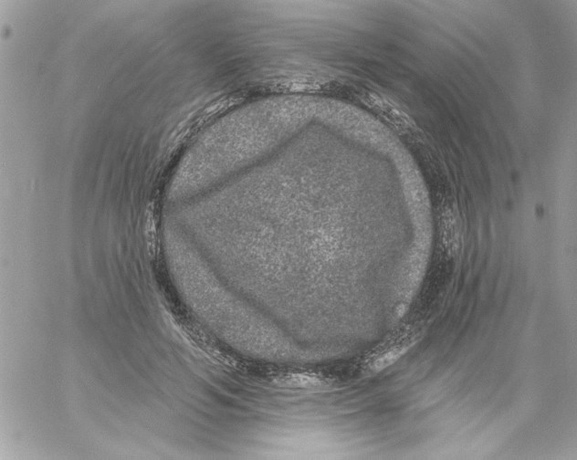 X0000061730594200512302148