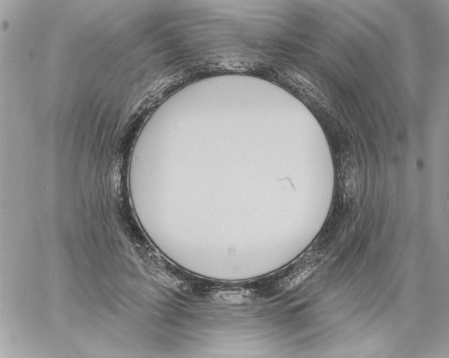 X0000061730595200512302148