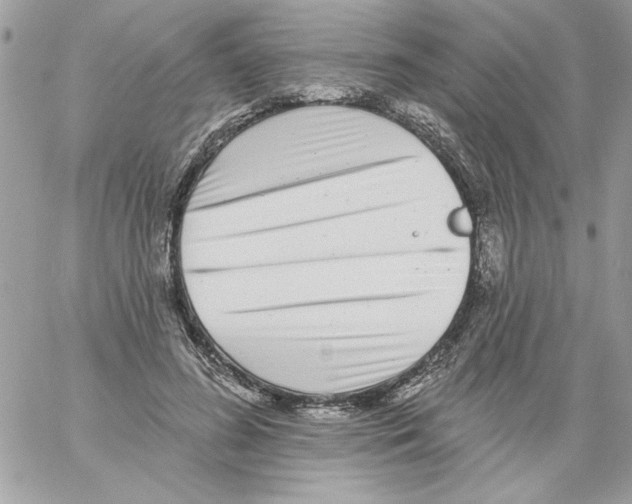 X0000061730596200512302148