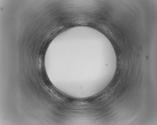 X0000061730597200512302148