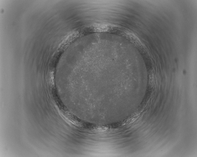 X0000061730598200512302148