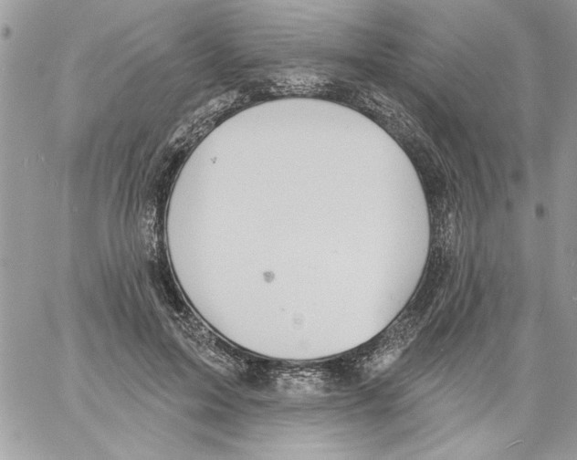 X0000061730599200512302148