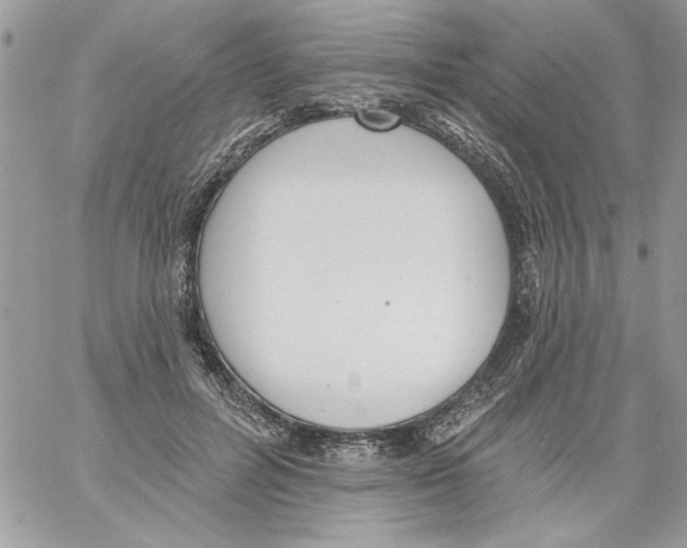 X0000061730600200512302147