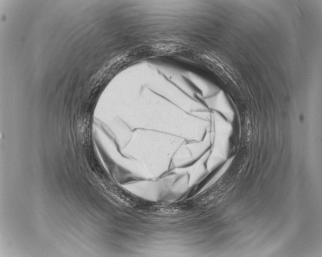 X0000061730601200512302147