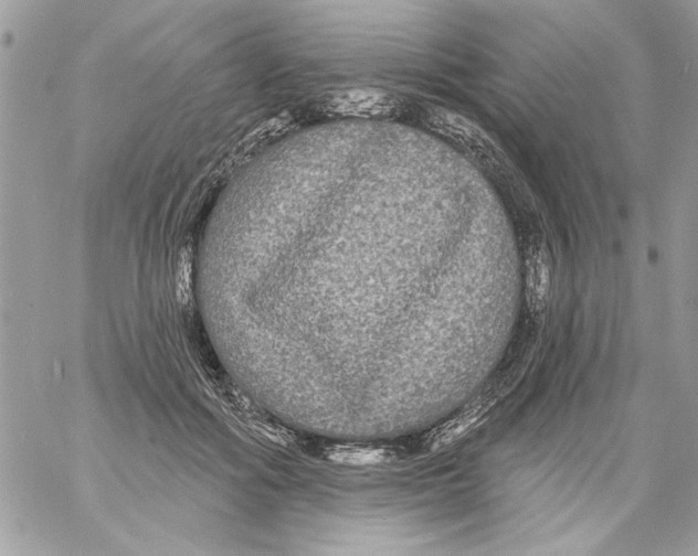 X0000061730602200512302147