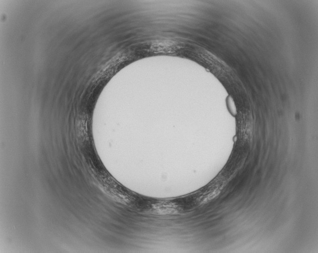 X0000061730603200512302147