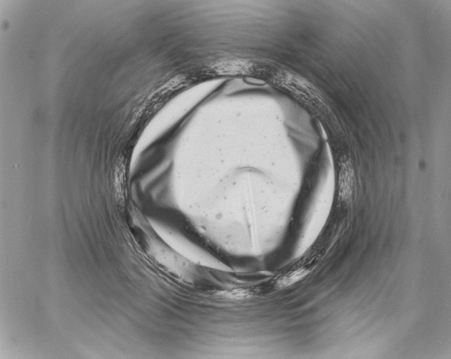 X0000061730604200512302147