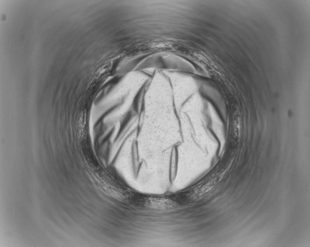 X0000061730605200512302147