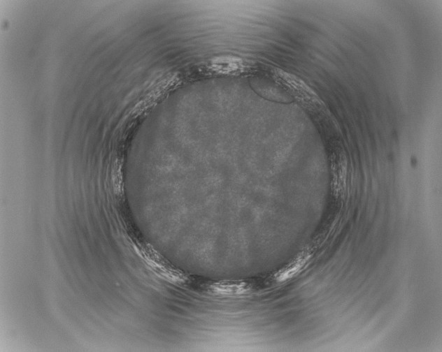 X0000061730606200512302147