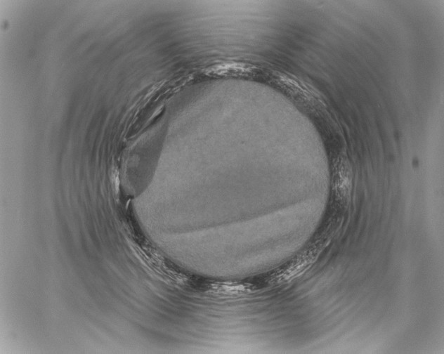 X0000061730607200512302147