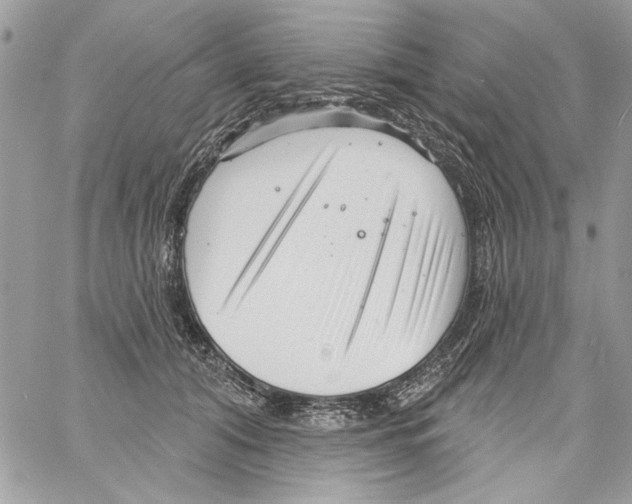 X0000061730608200512302147