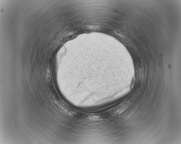 X0000061730609200512302147