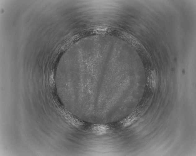 X0000061730610200512302147