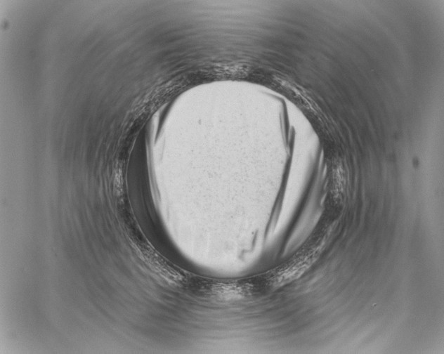 X0000061730613200512302147