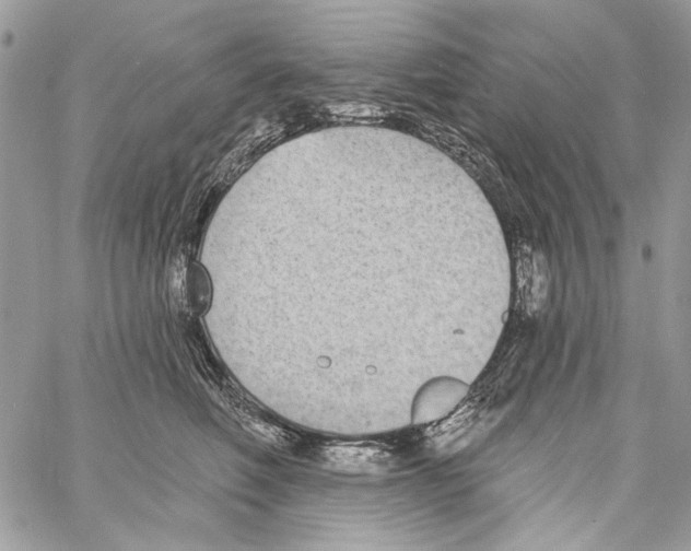 X0000061730614200512302147