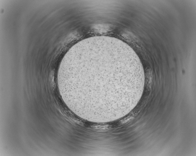 X0000061730615200512302147