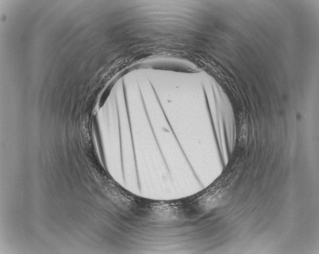 X0000061730616200512302147