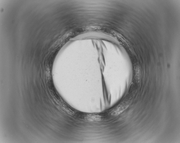 X0000061730617200512302147