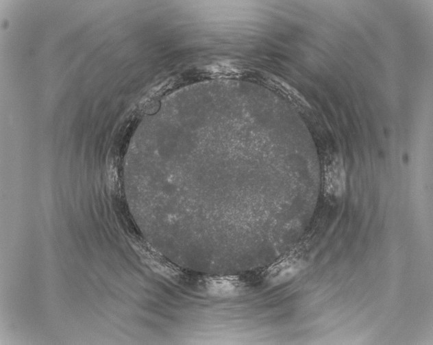 X0000061730618200512302147