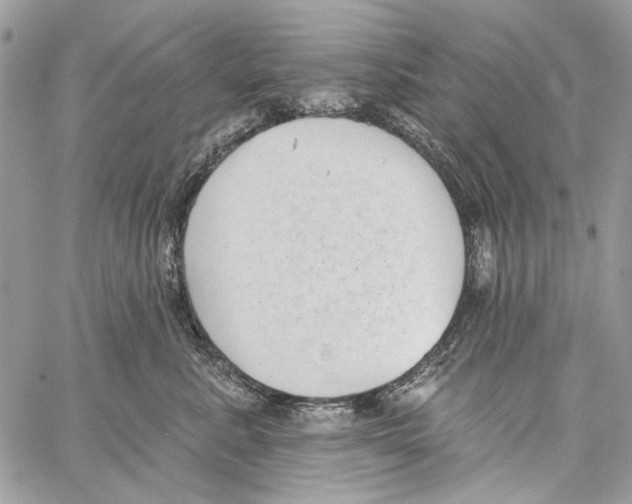 X0000061730619200512302147