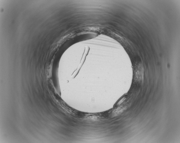 X0000061730620200512302147