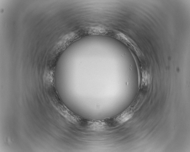 X0000061730621200512302147