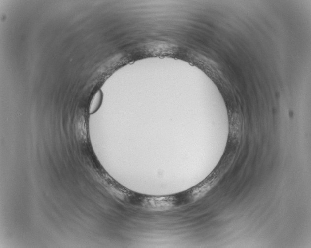 X0000061730622200512302147