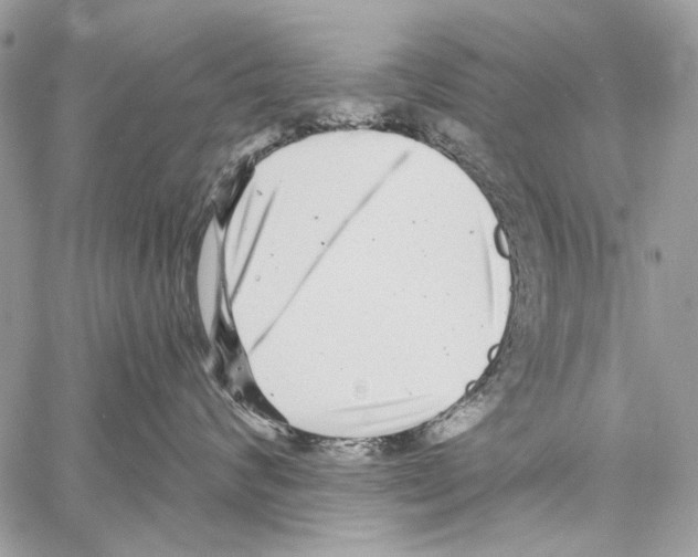 X0000061730624200512302147