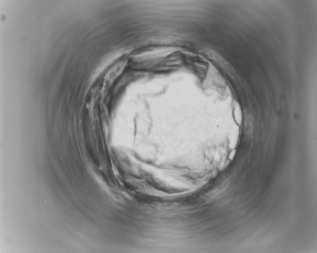 X0000061730626200512302146