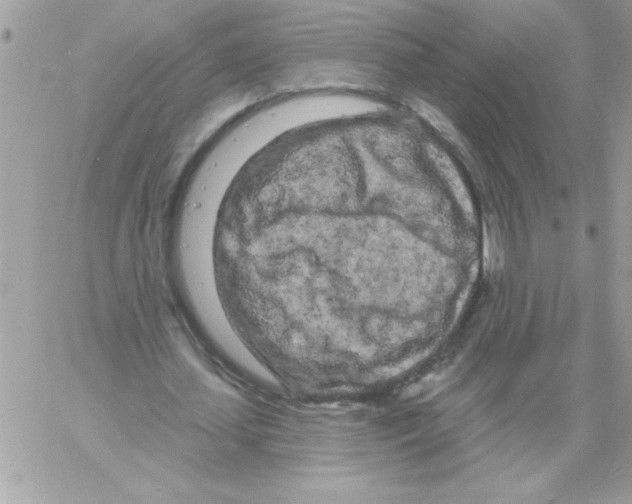 X0000061730627200512302146