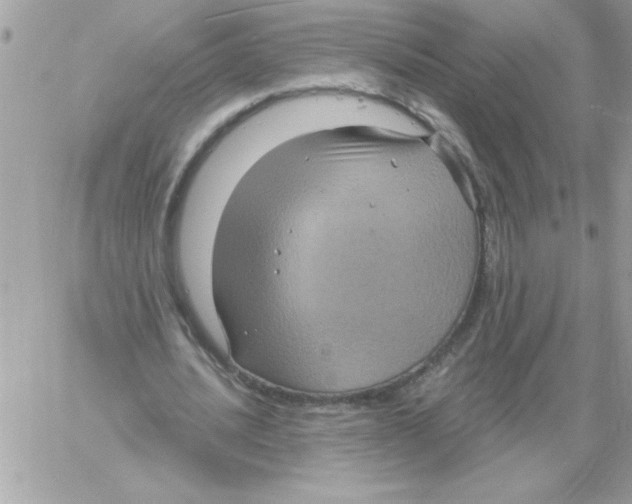 X0000061730628200512302146